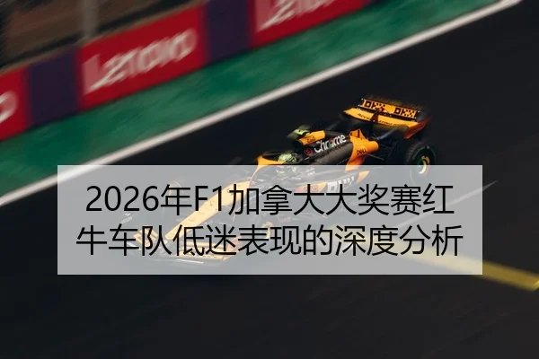 nian-jia-na-da-da-jiang-sai-hong-niu-che-dui-di-mi-biao-xian-de-shen-du-fen-xi-2-519.jpg