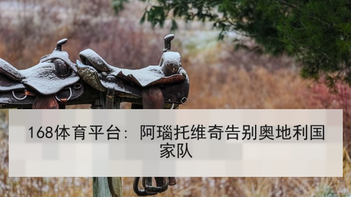 168体育平台: 阿瑙托维奇告别奥地利国家队