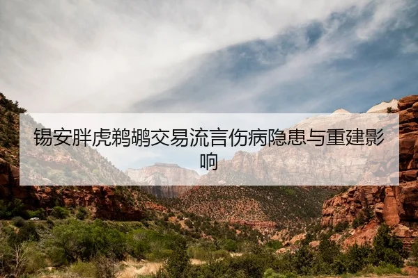 锡安胖虎鹈鹕交易流言伤病隐患与重建影响