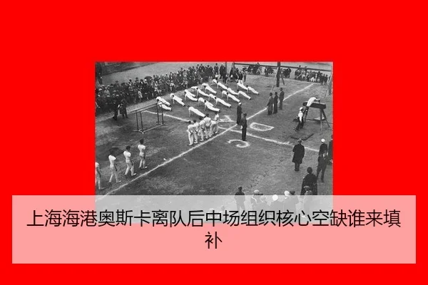 shang-hai-hai-gang-ao-si-ka-li-dui-hou-zhong-chang-zu-zhi-he-xin-kong-que-shui-lai-tian-bu-2-821.jpg