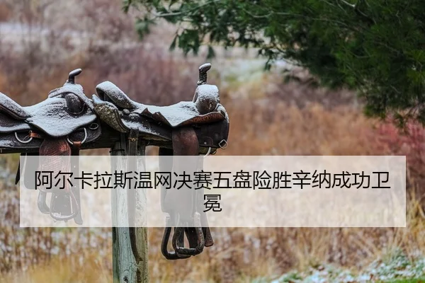 阿尔卡拉斯温网决赛五盘险胜辛纳成功卫冕