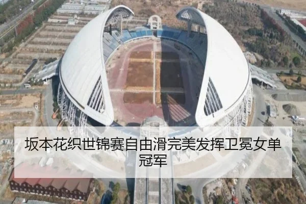 ban-ben-hua-zhi-shi-jin-sai-zi-you-hua-wan-mei-fa-hui-wei-mian-nv-dan-guan-jun-3-203.jpg