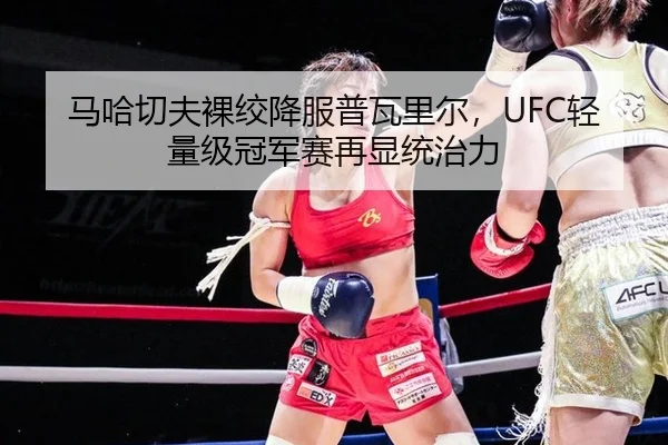 马哈切夫裸绞降服普瓦里尔，UFC轻量级冠军赛再显统治力
