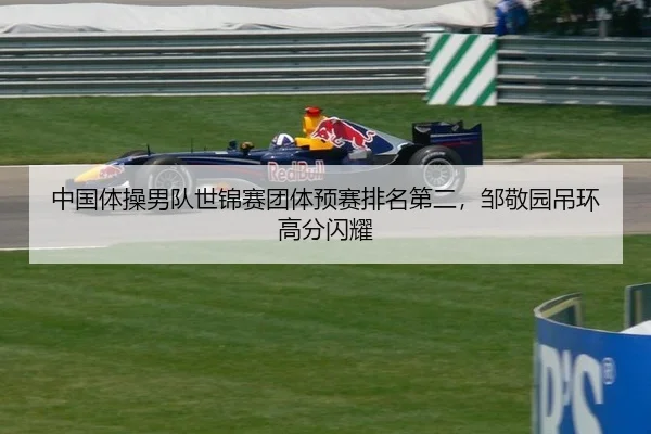 中国体操男队世锦赛团体预赛排名第二，邹敬园吊环高分闪耀